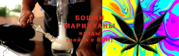 бошки Белокуриха