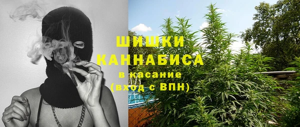 бошки Белокуриха