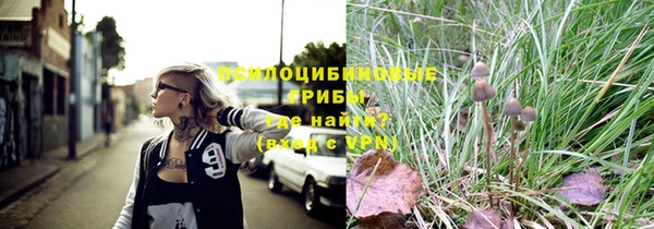 бошки Белокуриха