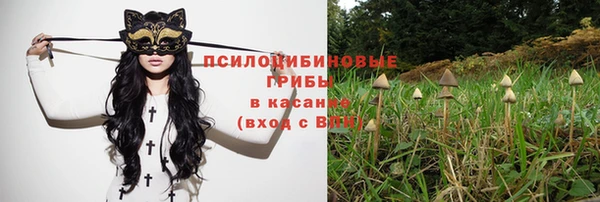 бошки Белокуриха