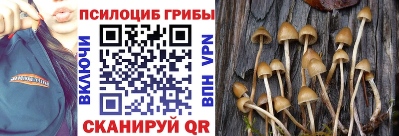 Галлюциногенные грибы MAGIC MUSHROOMS  Мураши 